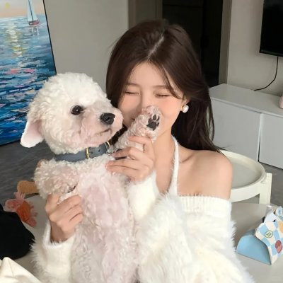 科搜研之女第24季